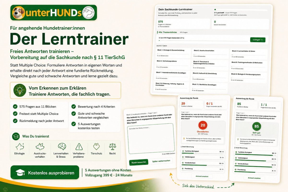 Lerntrainer für die Sachkundeprüfung nach § 11 TierSchG von unterHUNDs: Übersicht eines Online-Lernsystems mit 575 Fragen in 11 Themenblöcken, Freitext-Antworten und automatischer Bewertung nach fachlicher Richtigkeit, Vollständigkeit, Verständlichkeit und Praxisbezug.